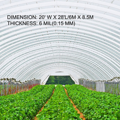 Greenhouse Film, Greenhouse Polyethylene Film 20x28 ft Greenhouse Plastic