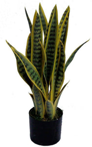 UV Artificial (Faux) Mother In Law Tongue / Yellow Tongue 58cm 7 Stems