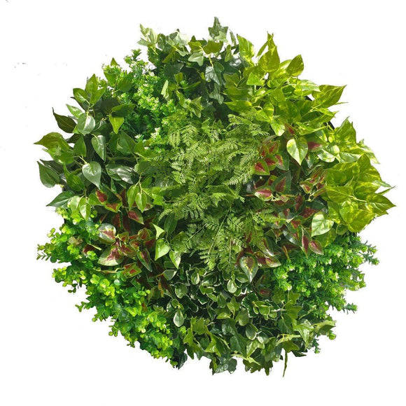 Artificial Plant Green Wall Disc Art 80cm Mixed Fern (Onyx Black)