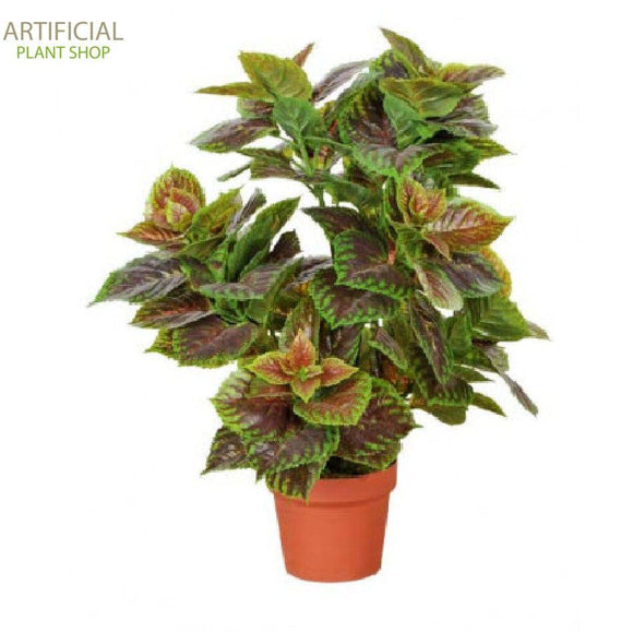 Artificial Plant Purple Perilla 70cm