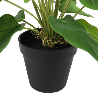 Artificial Plant Flowering White & Orange Peace Lily / Calla Lily Plant 50cm