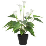 Artificial Plant Flowering White Peace Lily / Calla Lily Plant 50cm