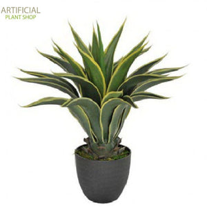 Artificial Plant Agave 60cm