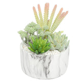 Artificial Plant Succulent Bowl with Marble Pot 20.5cm Potted