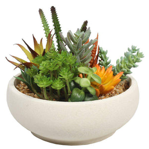 Artificial Plant Potted Succulent Bowl with Natural Stone Pot 21cm