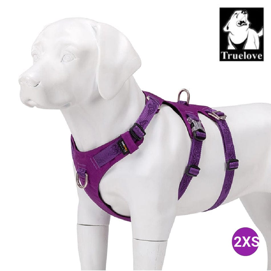 Whinhyepet Harness Purple 2XS