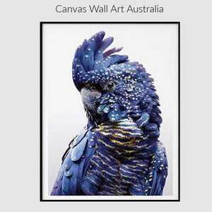 Canvas Wall Art 70cmx100cm Black Cockatoo - Black Frame