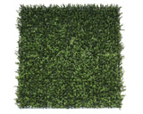 Premium Natural Buxus Hedge Panels UV Resistant 1m x 1m