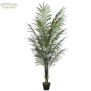 Artificial Plant Areca Palm Black Trunks 190 cm