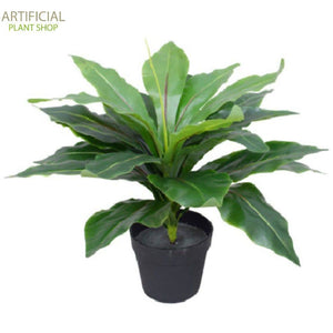 Artificial Plant Potted Wide Leaf Birds Nest Fern 50cm