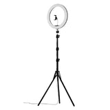 Ring Light 12" 5500K Dimmable Diva Diffuser With Stand Make Up