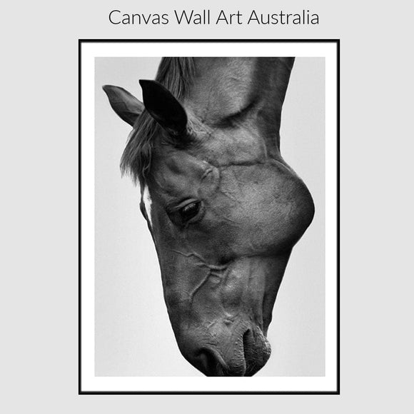 Canvas Wall Art 70cmx100cm Modern Black Horse Black Frame