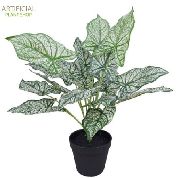Artificial Plant Potted White Evergreen Aglaonema 40 cm