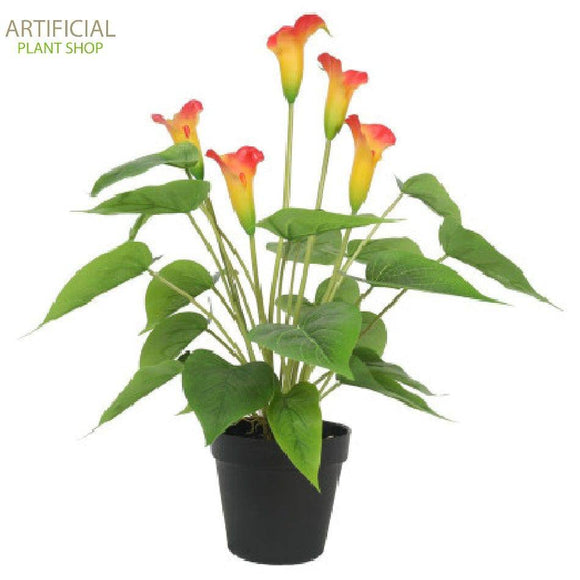 Artificial Plant Flowering White & Orange Peace Lily / Calla Lily Plant 50cm