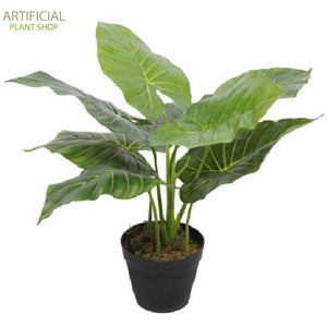 Artificial Plant Potted Taro Plant / Elephant Ear 55cm