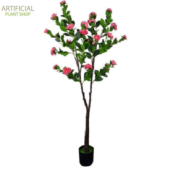Artificial Plant Camellia Tree Flowering Natural Pink  180cm