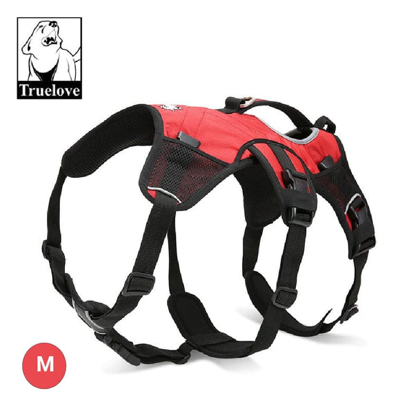 Dog Backpack Red M
