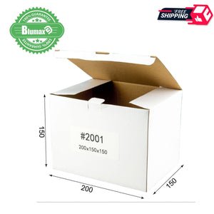 White Carton Cardboard Shipping Mailing Box 100x 200mm x 150mm x 150mm (#2001)