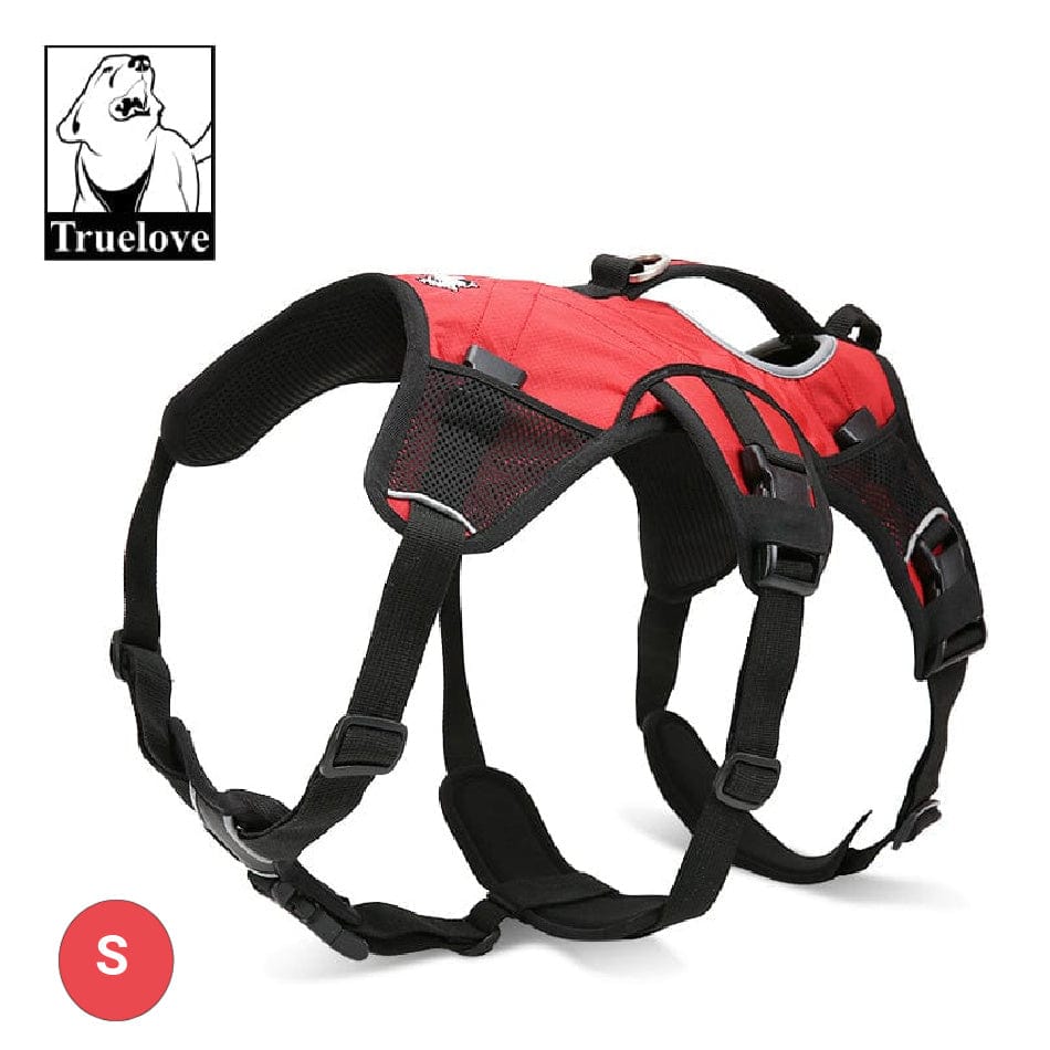 Dog Backpack Red S