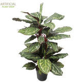 Artificial Plant Wide Leaf Cordyline Plant 90cm