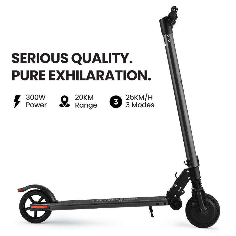 ALPHA Peak 300W 10Ah Electric Scooter