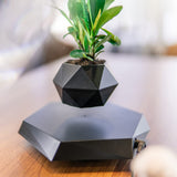 Magnetic Levitating Plant Pot Black