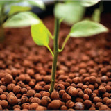 50L Hydro Clay Balls - Organic Premium Hydroponic Expanded Plant Growing Medium