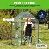Garden Greens Greenhouse Walk-In Shed 3 Tier Solid Structure & Quality 1.95m