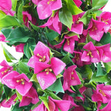 Artificial Plant Hanging Bougainvillea Plant (Pink / Lilac) UV Resistant 90cm