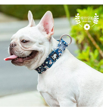 Floral Dog Collar Saxony Blue 3XL