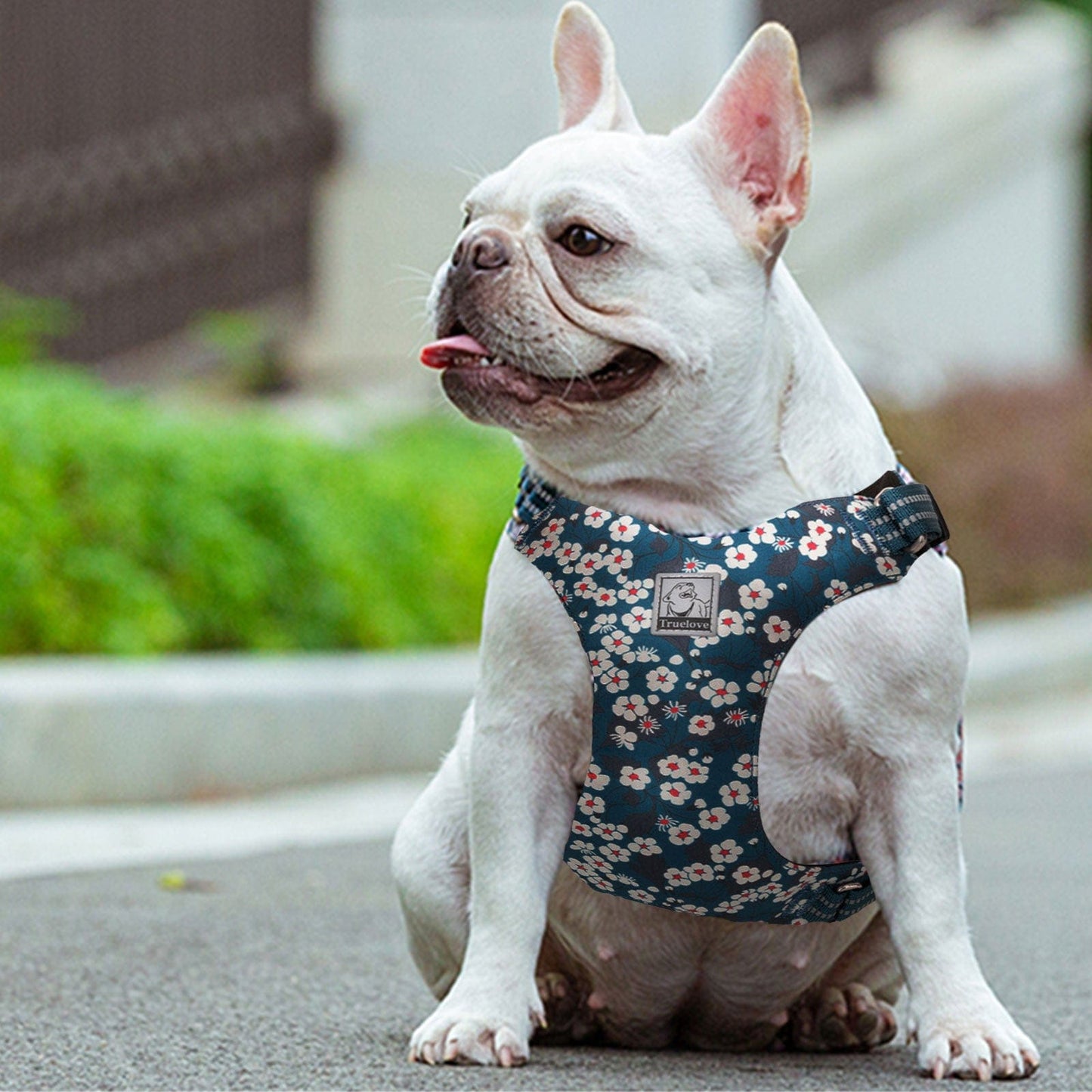 Floral Dog Harness Saxony Blue M