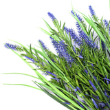 Long Stem Purple Lavender Plant 50cm UV Resistant