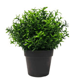 Artificial Plant Bright Rosemary Herb Plant Small Potted  UV Resistant 20cm