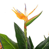 Artificial Plant Potted Bird of Paradise 150cm
