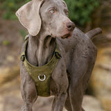 Lightweight Dog Harness Army Green 2XS