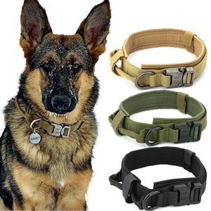 Tactical Dog Collars