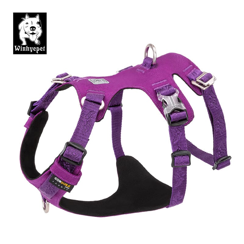 Whinhyepet Dog Harness Purple XL