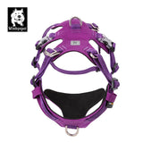Whinhyepet Dog Harness Purple XS