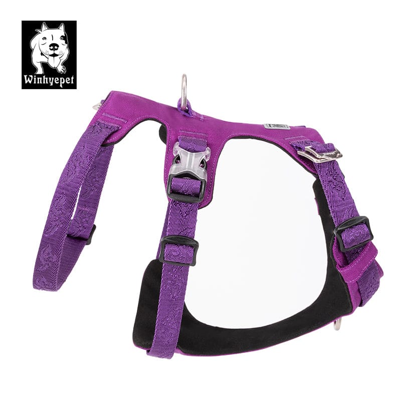 Whinhyepet Dog Harness Purple S