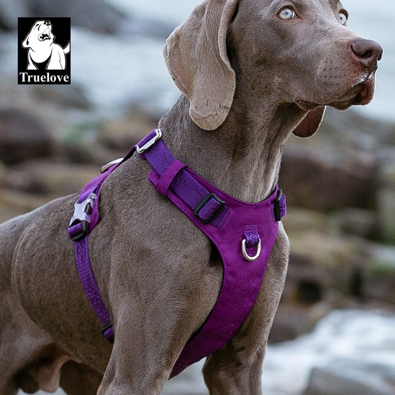 Lightweight Dog Harness Purple L