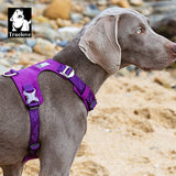 Lightweight Dog Harness Purple XL