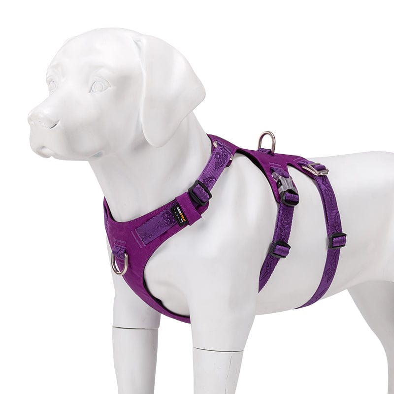 Whinhyepet Dog Harness Purple XS