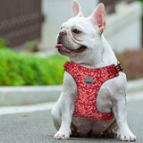 Floral Dog Harness Red XS