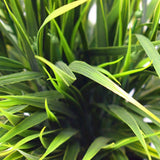 Artificial Plant Ornamental Potted Dense Green Grass 38cm